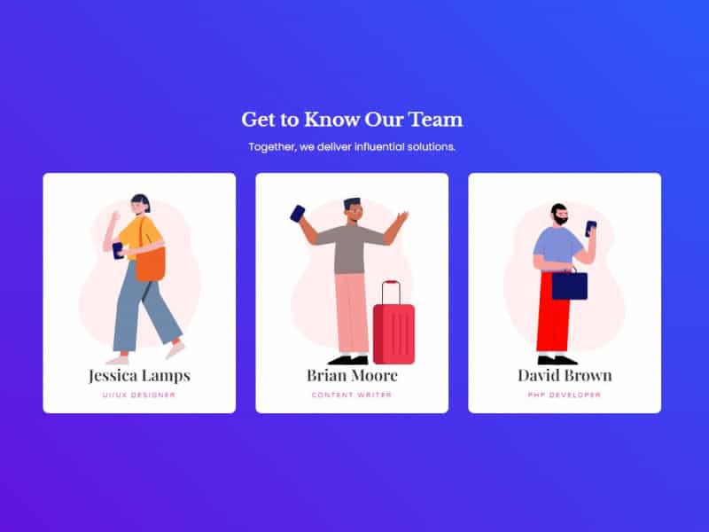 Flip Box for Team Members with Animation
